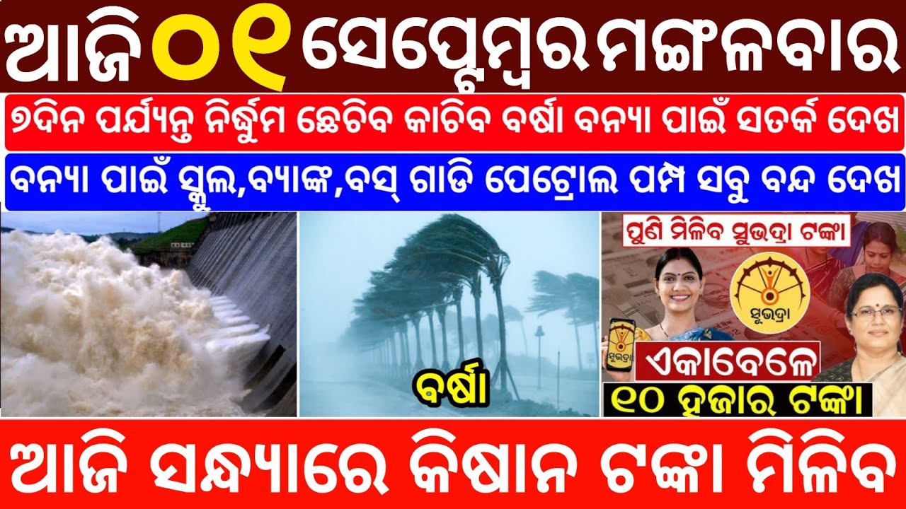 Today's Odia News/01 September 2026/Odisha News Today/PM Kisan Yojana/Subhadra Yojana/odisha news