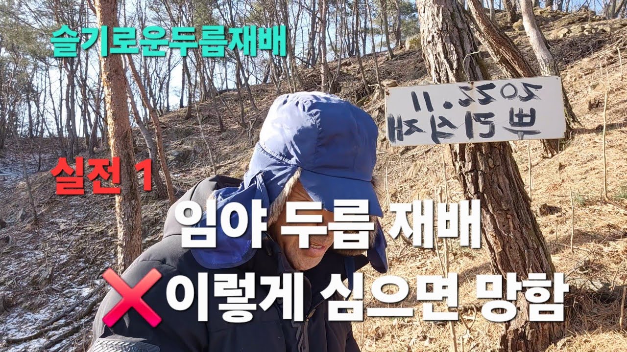  깨달은 현실💯이렇게 하면 망해요