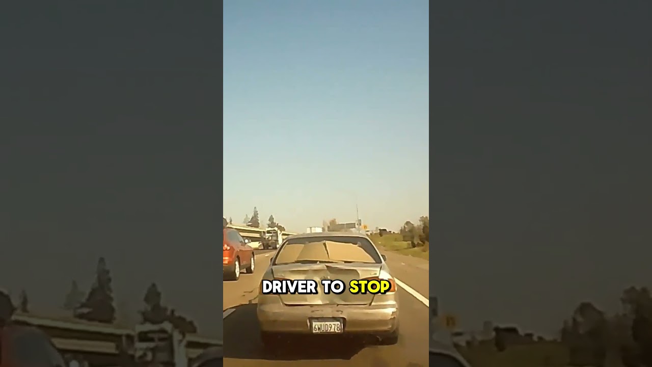 Insurance Scammer Reverses Into Driver On Highway! 😨
