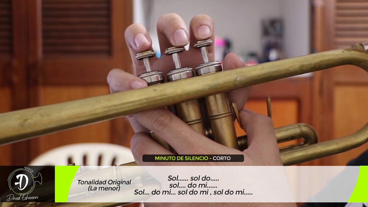 МИНУТА МОЛЧАНИЯ | КОРОТКО И ДЛИННО | ЗАМЕТКИ | Труба | 2019 | #ДэвидЭчеверри