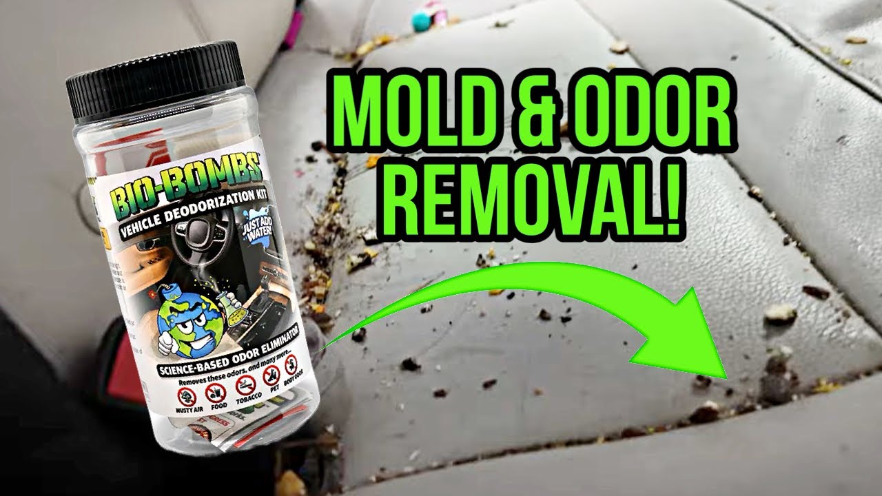 This Moldy Mom Car Was Almost Our Last (Odor Removal & Interior Cleaning)