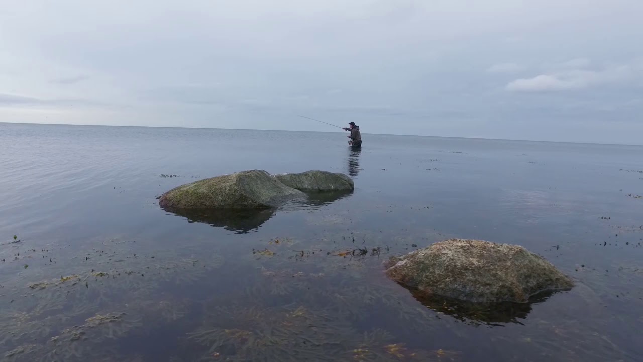 Meerforellen-Guiding Fehmarn mit Andre Ahlers