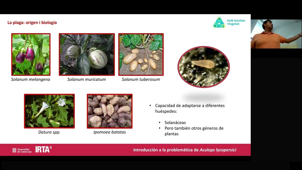 Seminari tècnic: Alternatives comercials alsproductes químics de síntesi pel control d’Aculops spp.