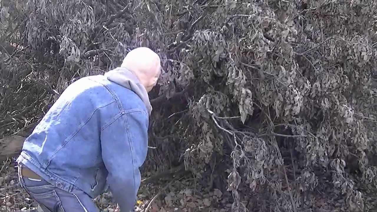 Steve Austin HUNTS for STONE COLD E.T