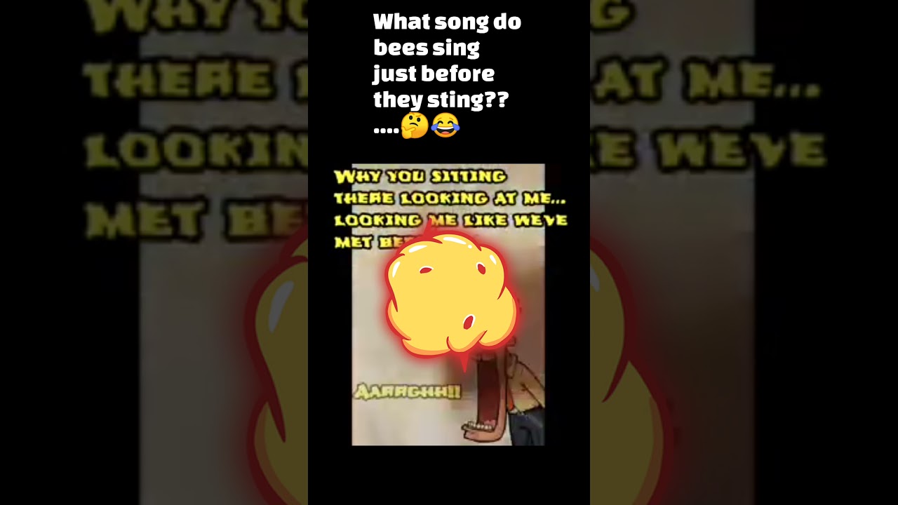 What if bees sing before they sting? 😯😂😂😂 