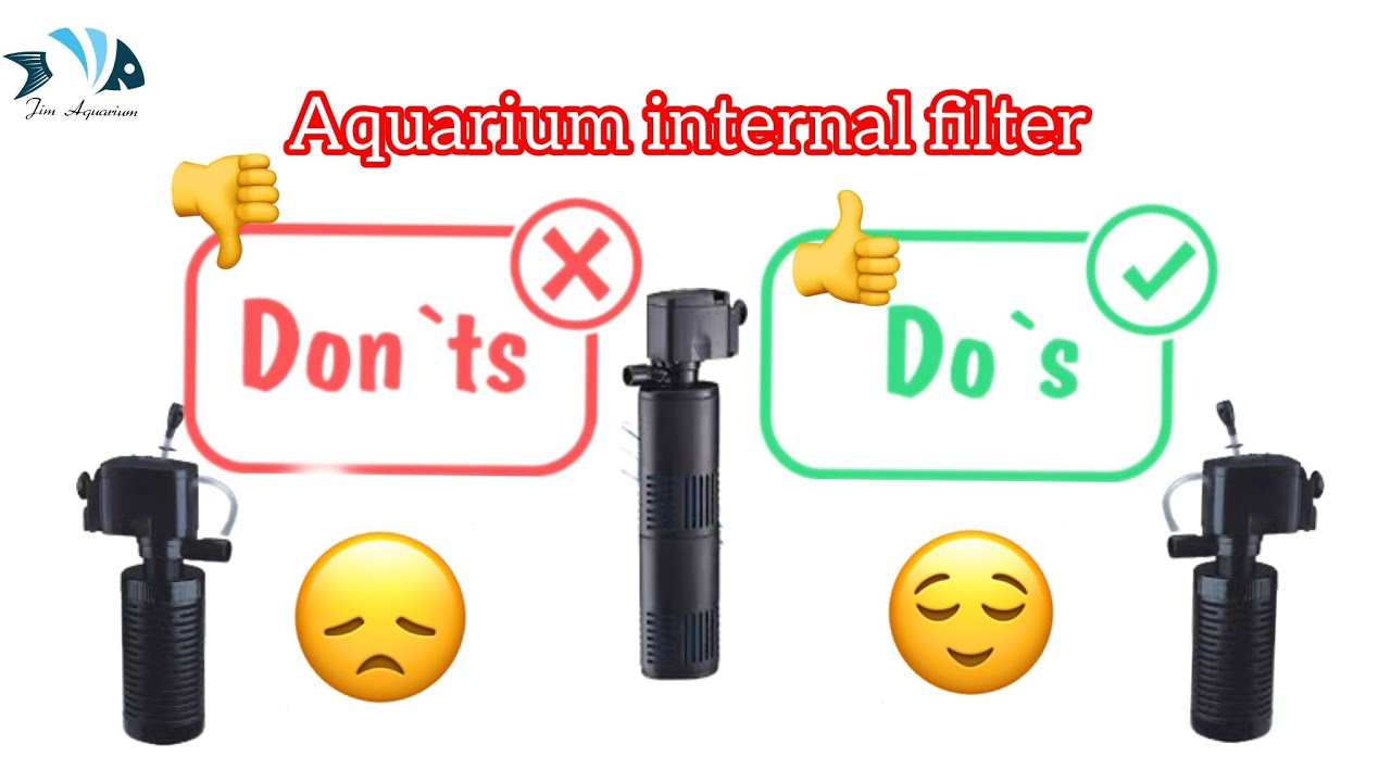 How to use internal filters in aquarium & tips to increase the life of filter #aquariumaccessories
