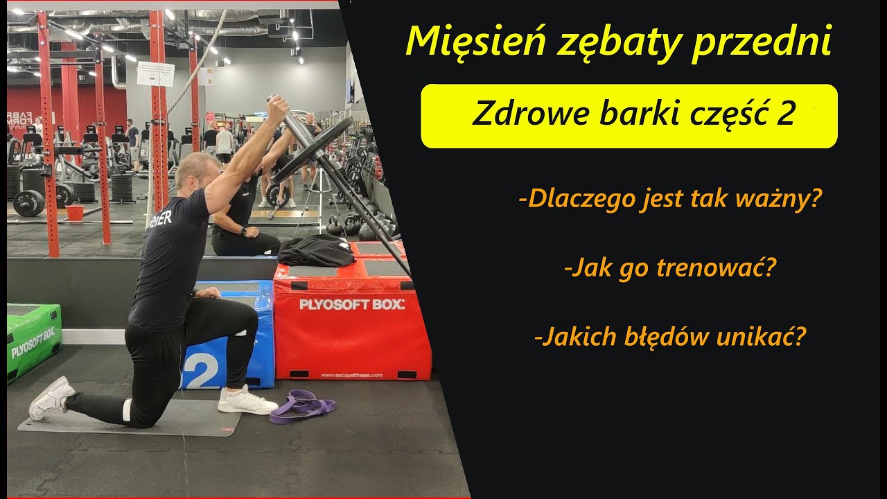 Mięsień zębaty przedni- zdrowe barki część 2. Dlaczego warto go trenować? Jak trenować zębaty przedn