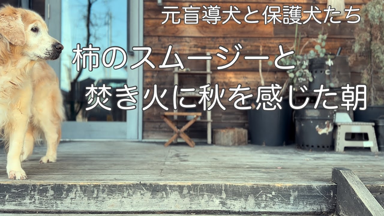 ワンコ達と季節の変化を感じた朝