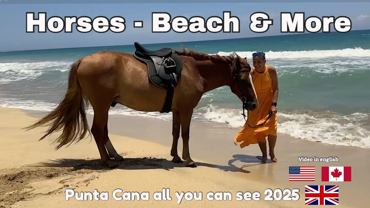 Horses Beach Punta Cana Photoshoot