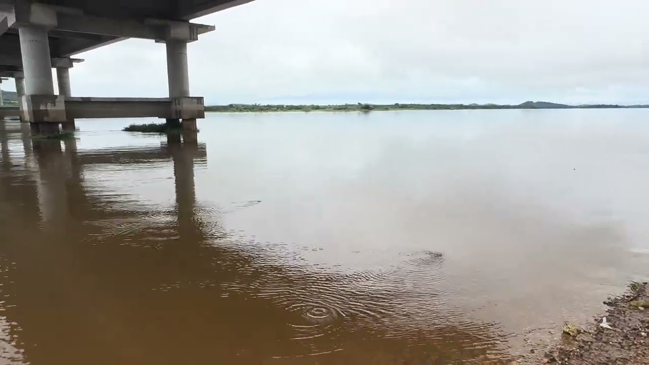 RIO ARAGUAIA E MUITO LINDO AQUI NA PONTE JAIR BOLSONARO 