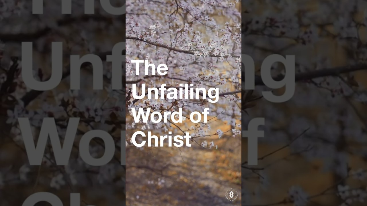 My Father's House: The Promise of Heaven (John 14:1-3)