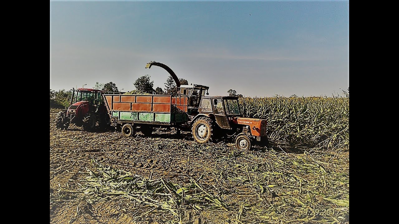 Kukurydza 🌽 na kiszonkę 2017 ⭐ Mengele Mammut John Deere 2x Zetor Valtra Ursus 🌽