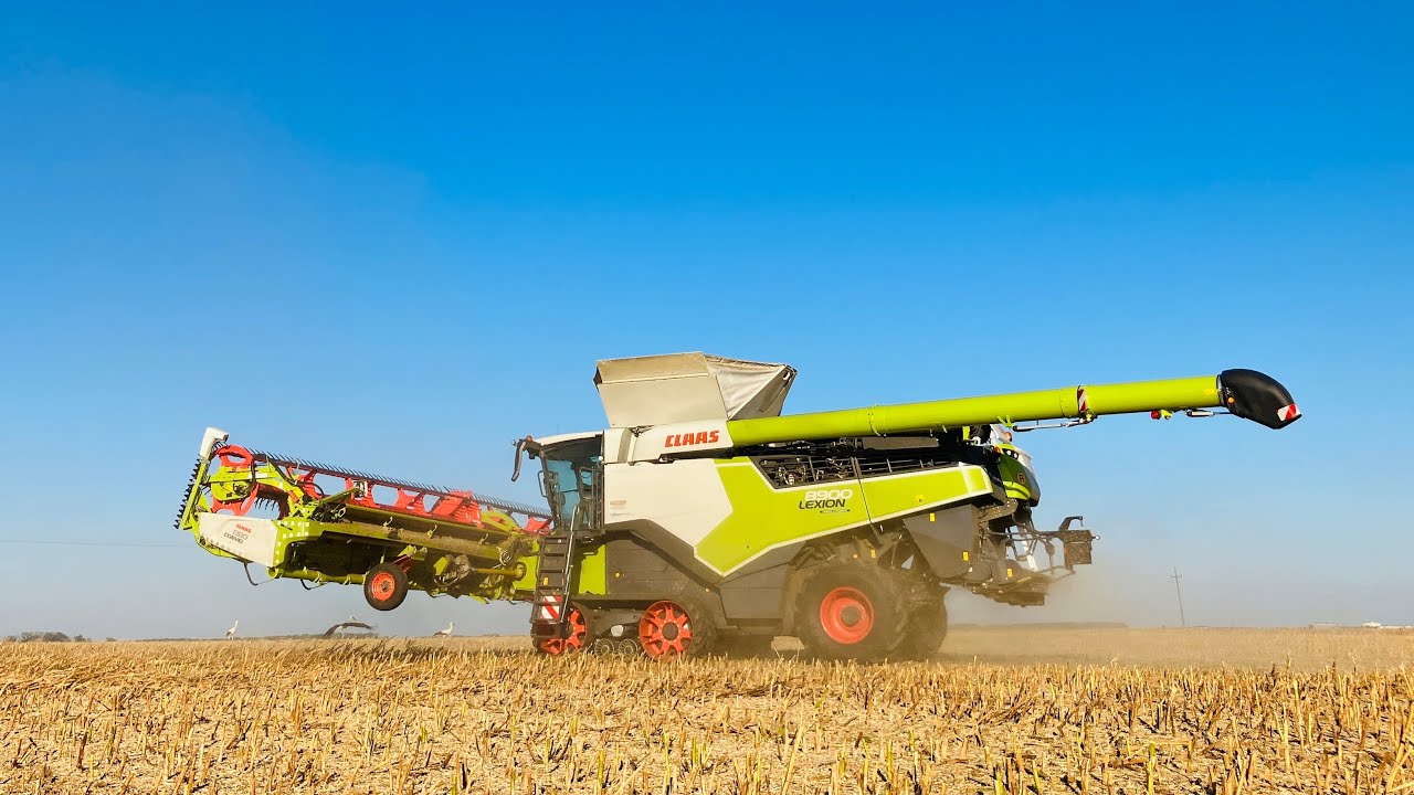 The Beast in the Field | Claas Lexion 8900 Terra Trac | 1380 Vario Rapeseed Harvest