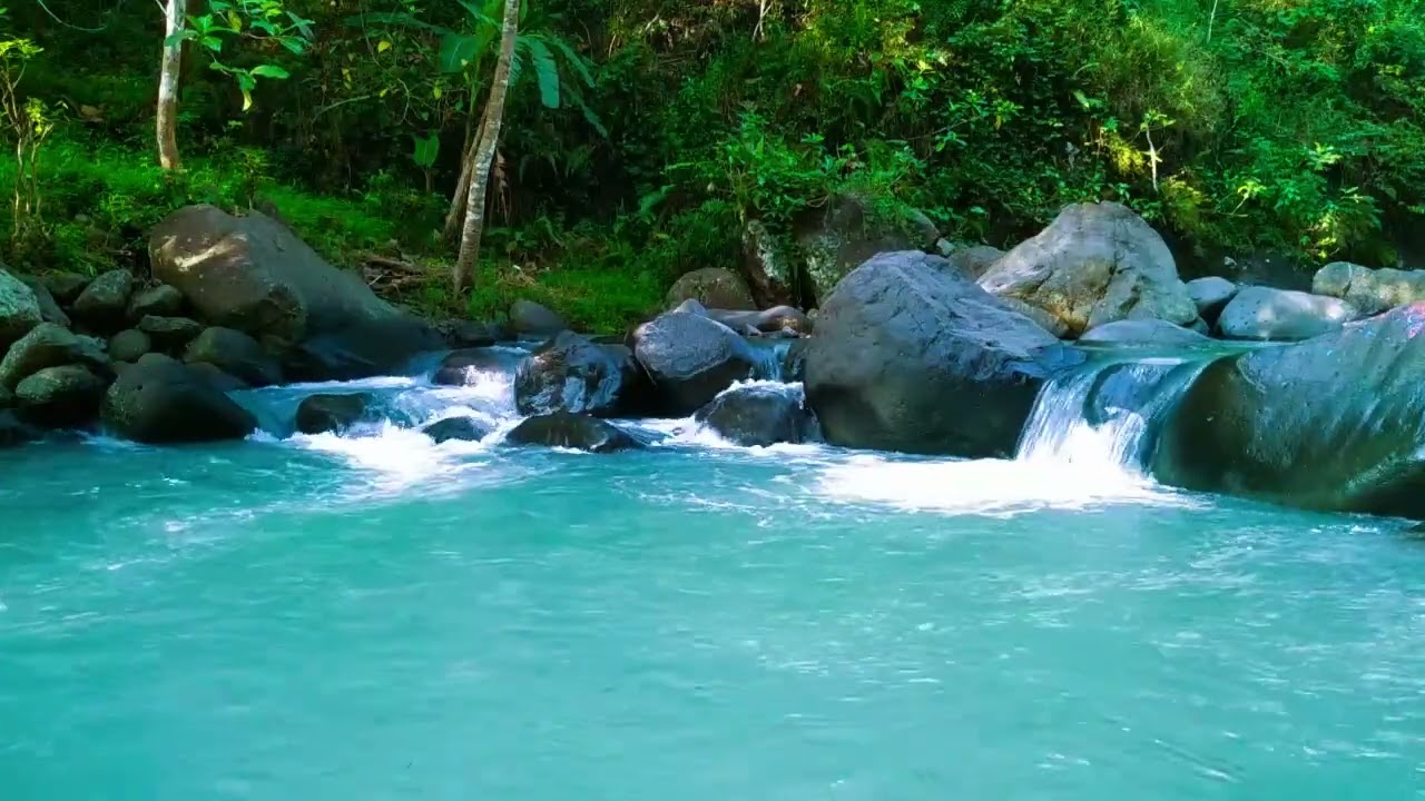 Forest Ambiance - Calm River Flow for Sleep and Relaxation