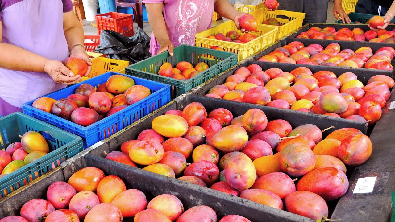 Весь процесс фермы манго! Изготовление мороженого с манго | Тайваньская уличная еда
