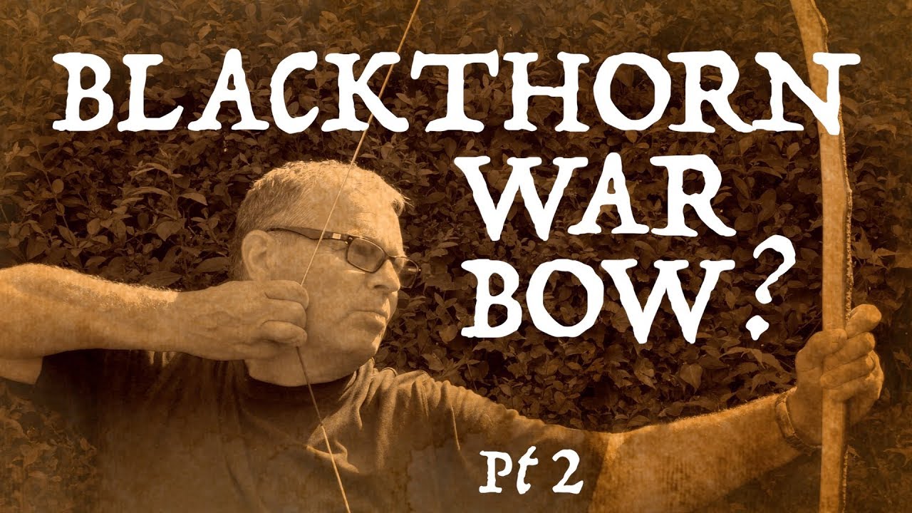 Will Blackthorn make a 100lb Warbow? Primitive Technology from the Hedgerow. Pt 2
