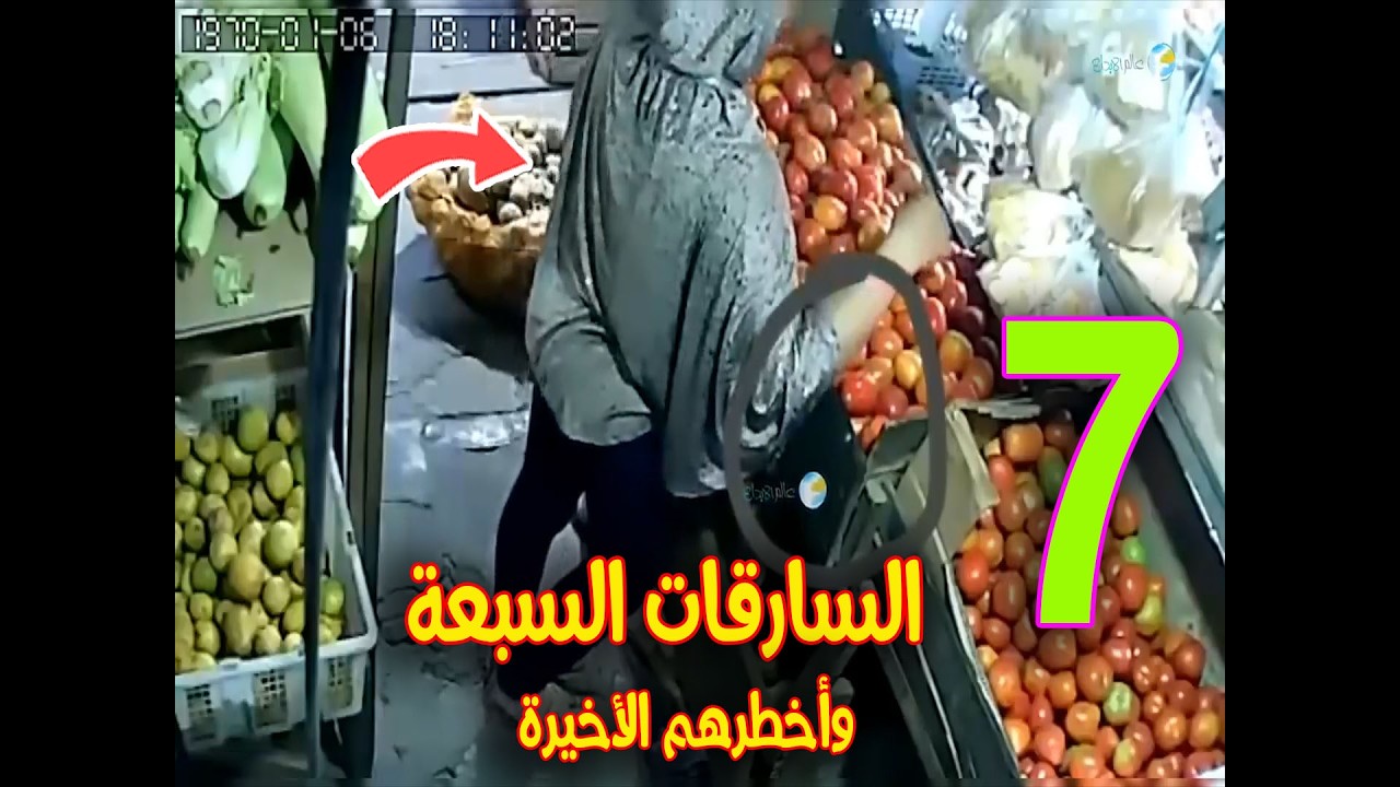 أخطر 7 سيدات في السرقة والأخيرة صدمة كبيرة