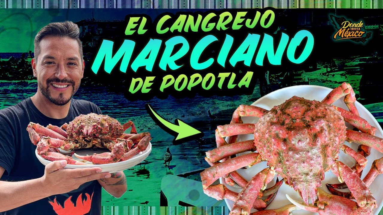 El CANGREJO MARCIANO el m&aacute;s GRANDE de M&eacute;xico | Popotla D&iacute;a 5 #DondeiniciaMexicoLRG