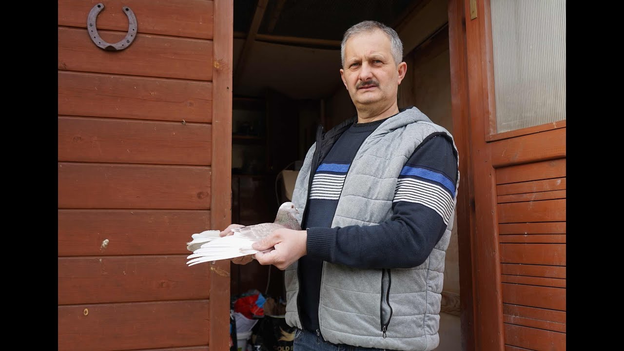 Mariusz Dybizbański  - najlepszy roczny Polski