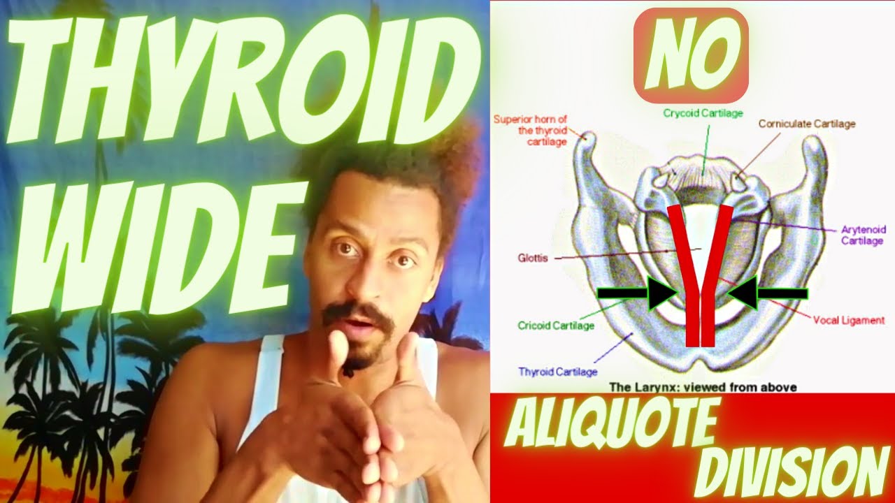 Wide Thyroid Cartilage – Anatomical Vocal Training (26)
