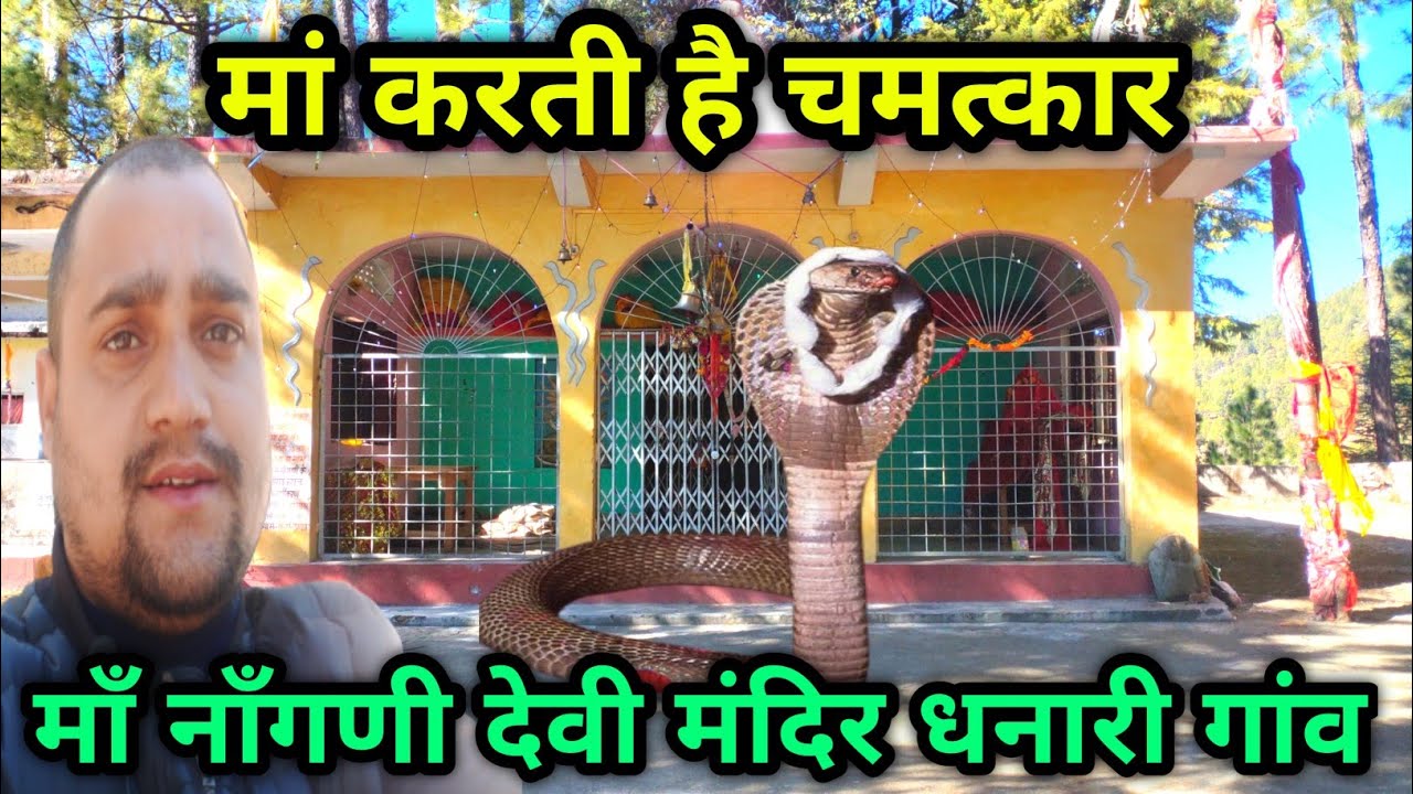 मां नॉंगणी देवी मंदिर धनारी गांव | Nagni Mata Mandir Fold Gaun | मां करती है चमत्कार 🙏