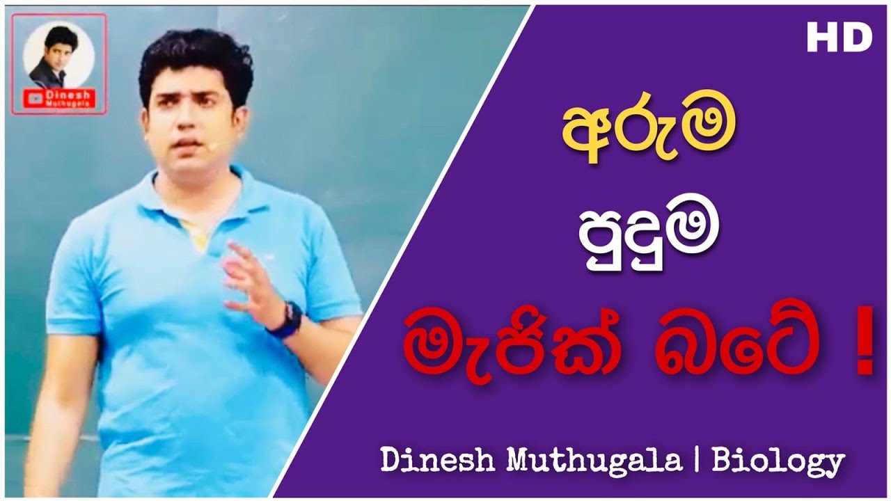අරුම පුදුම මැජික් බටේ | Dinesh Muthugala