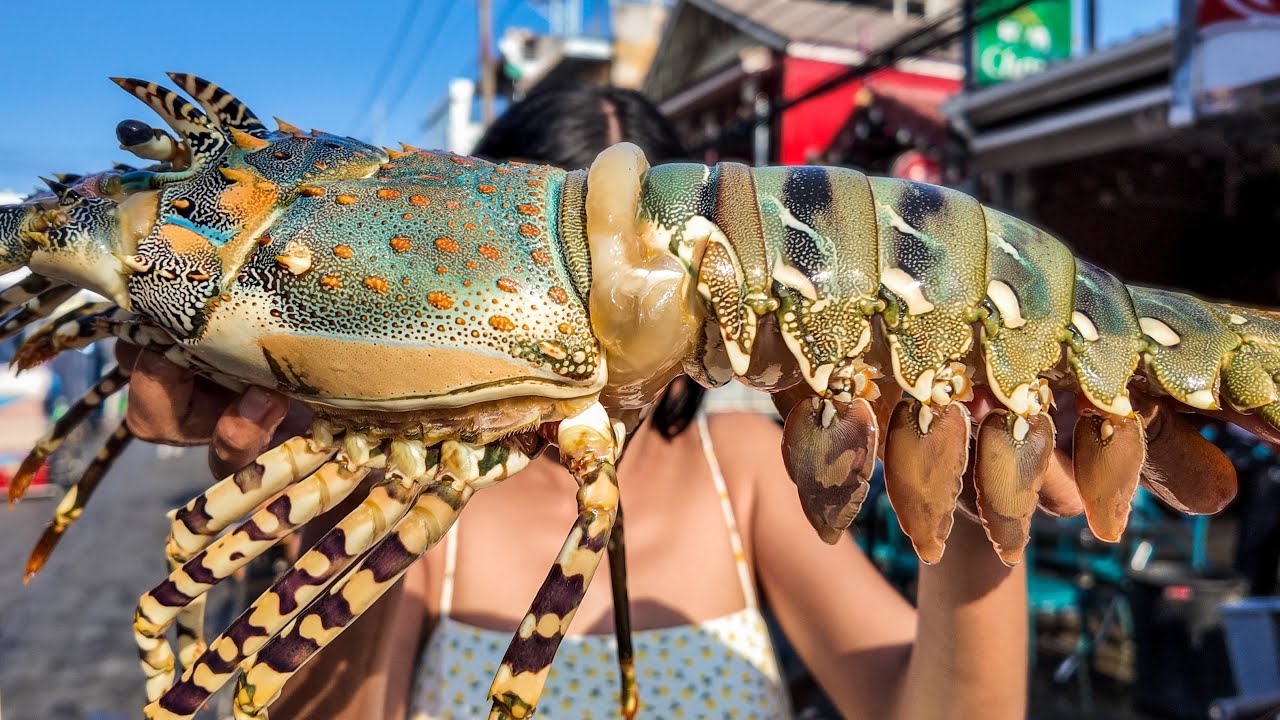 2.5KG Lobster Feast in Thailand – Cooked 4 Different Ways 🇹🇭