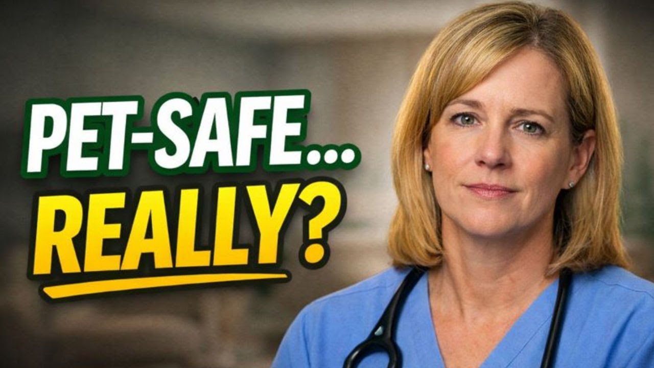 What Veterinarians Actually Worry About With 