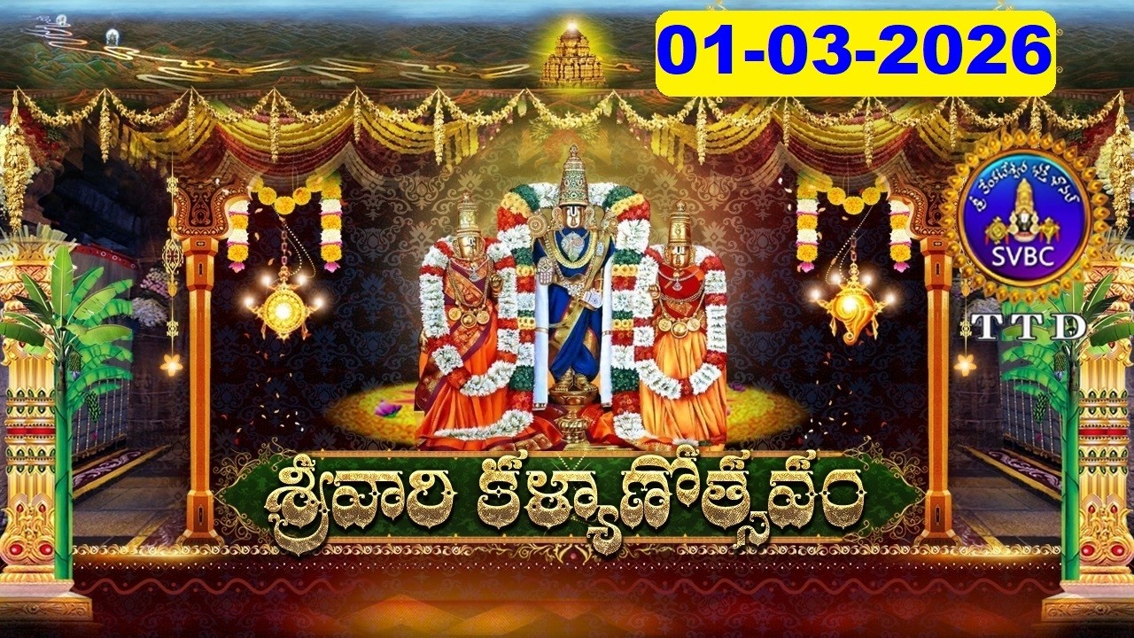 శ్రీవారి కళ్యాణోత్సవం || Srivari Kalyanotsavam || 01-03-2026 || SVBC TTD