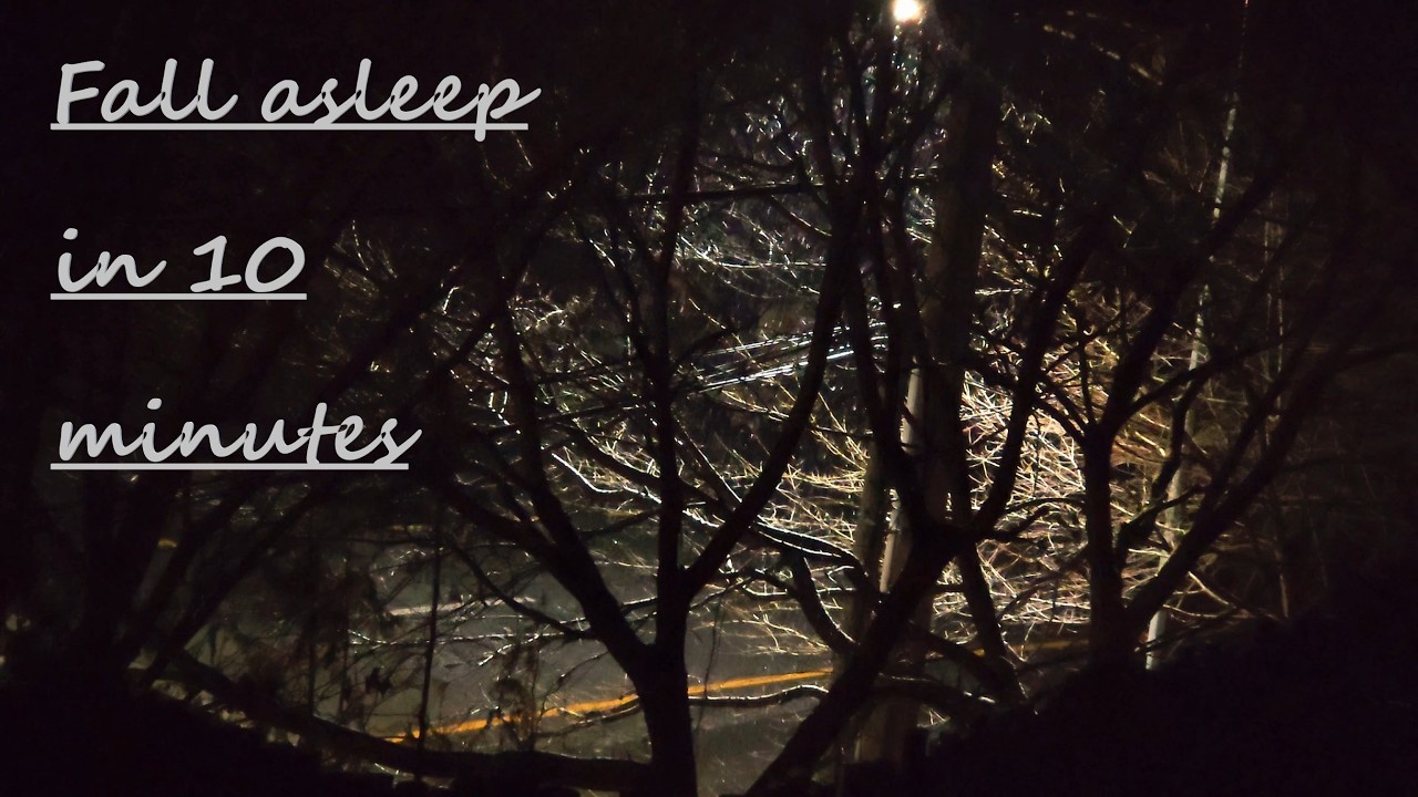 Fall Asleep Instantly in a Snowy Winter Forest