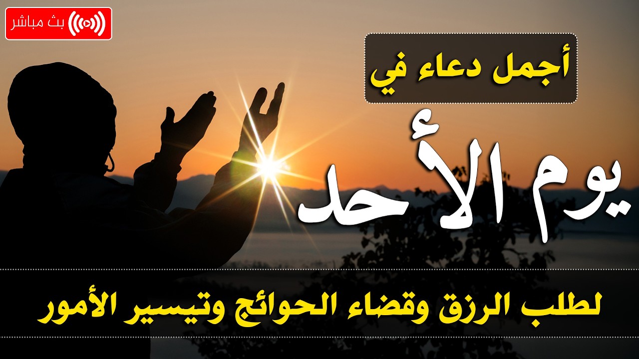 دعاء فى يوم الأثنين المستجاب دعاء يوم 19 من شهر رمضان للرزق والشفاء عاجل وقضاء الحواج 🤲(4k)