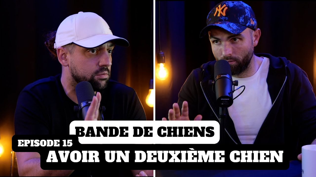 Avoir un deuxième chien - BANDE DE CHIENS Ep15