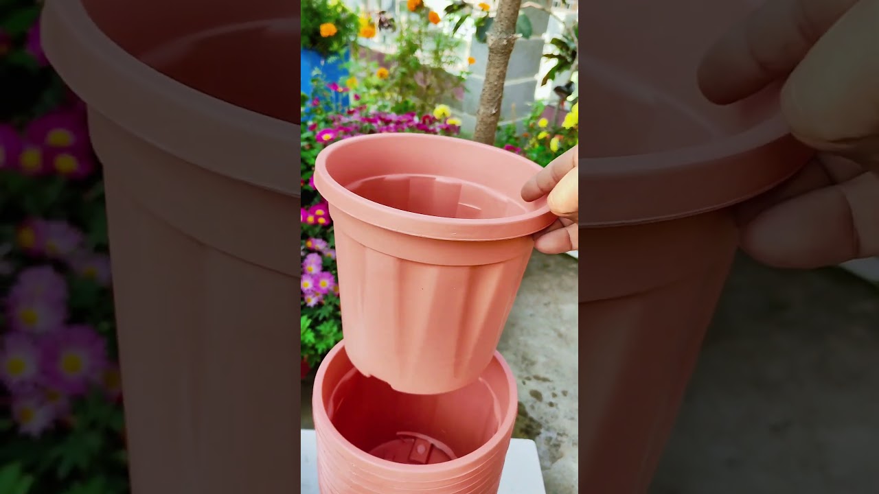 Garden Makeover Start 🌸 | New Pots Collection | Gardening Vlog