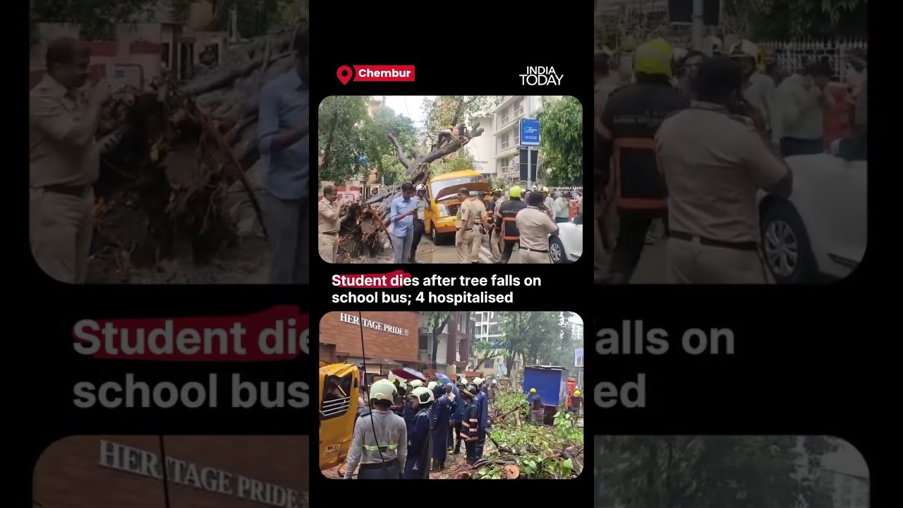 10-Year-Old Dies After Tree Falls On School Bus In Mumbai's Chembur