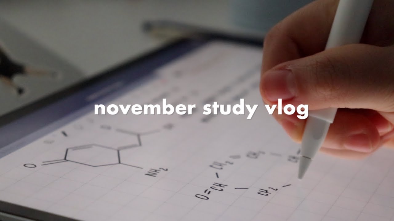 Видеоблог об учёбе за ноябрь: подготовка к финальным экзаменам, утренние процедуры, канцелярские ...