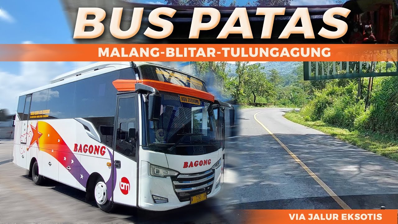 BUS PALING RECOMMENDED DARI MALANG KE TULUNGAGUNG, TRIP BUS BAGONG MALANG BLITAR TULUNGAGUNG