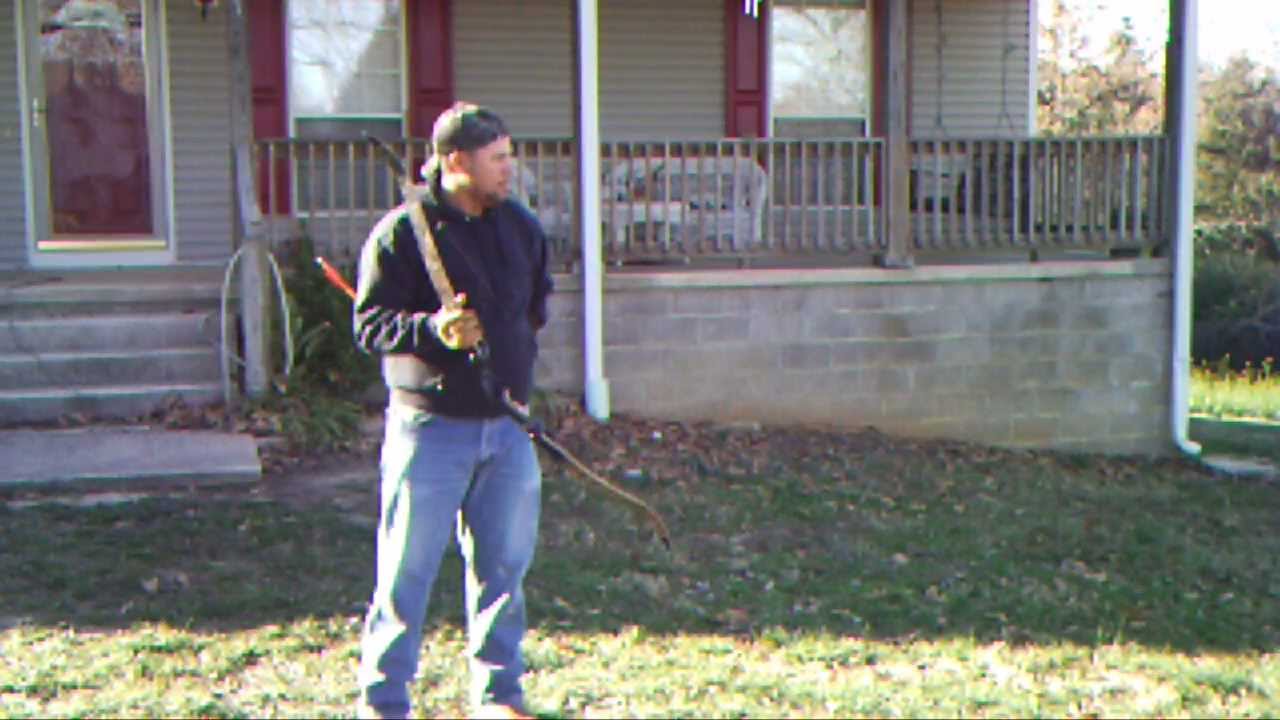 New Hoyt Buffalo Recuve