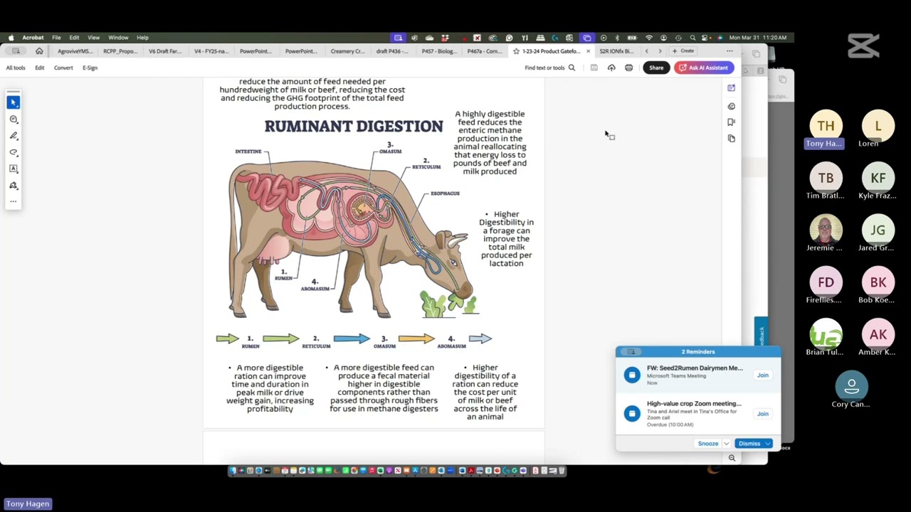 Seed2Rumen Ion FX Training