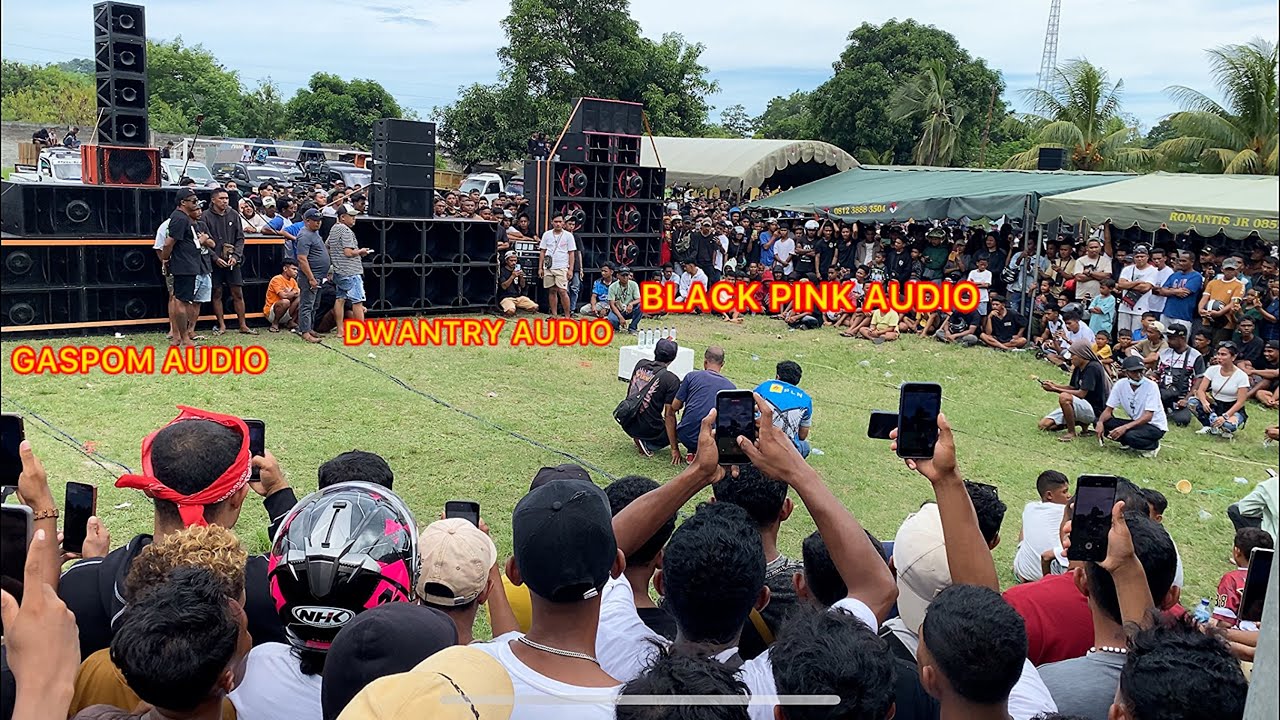 Характеристики HOREG 🔥 GASPOM AUDIO VS DWANTRY AUDIO VS BLACK PINK AUDIO