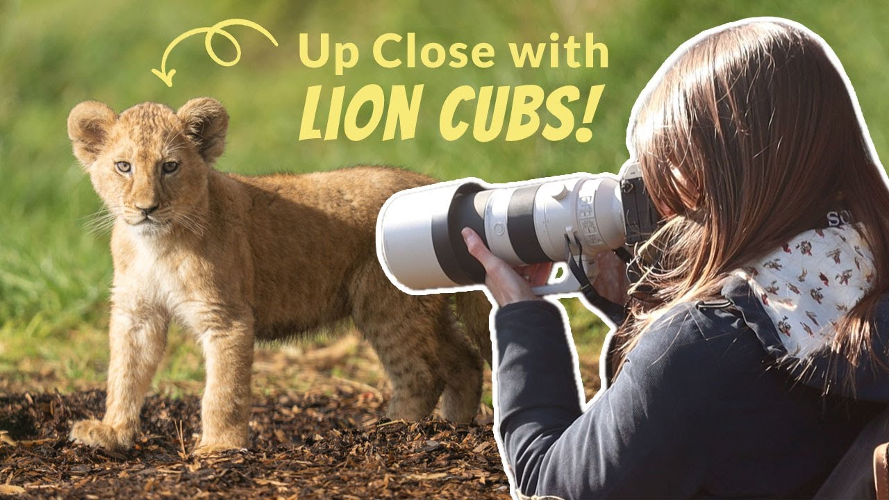 Zoo Photography Hack – The Best Time to Capture Wildlife