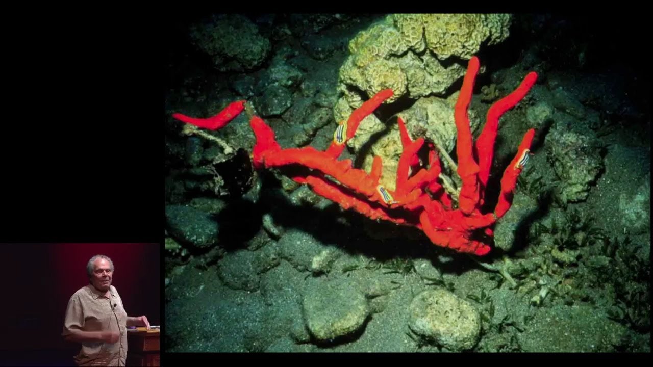 Phil Crews Emeriti Lecture Apr 9, 2019
