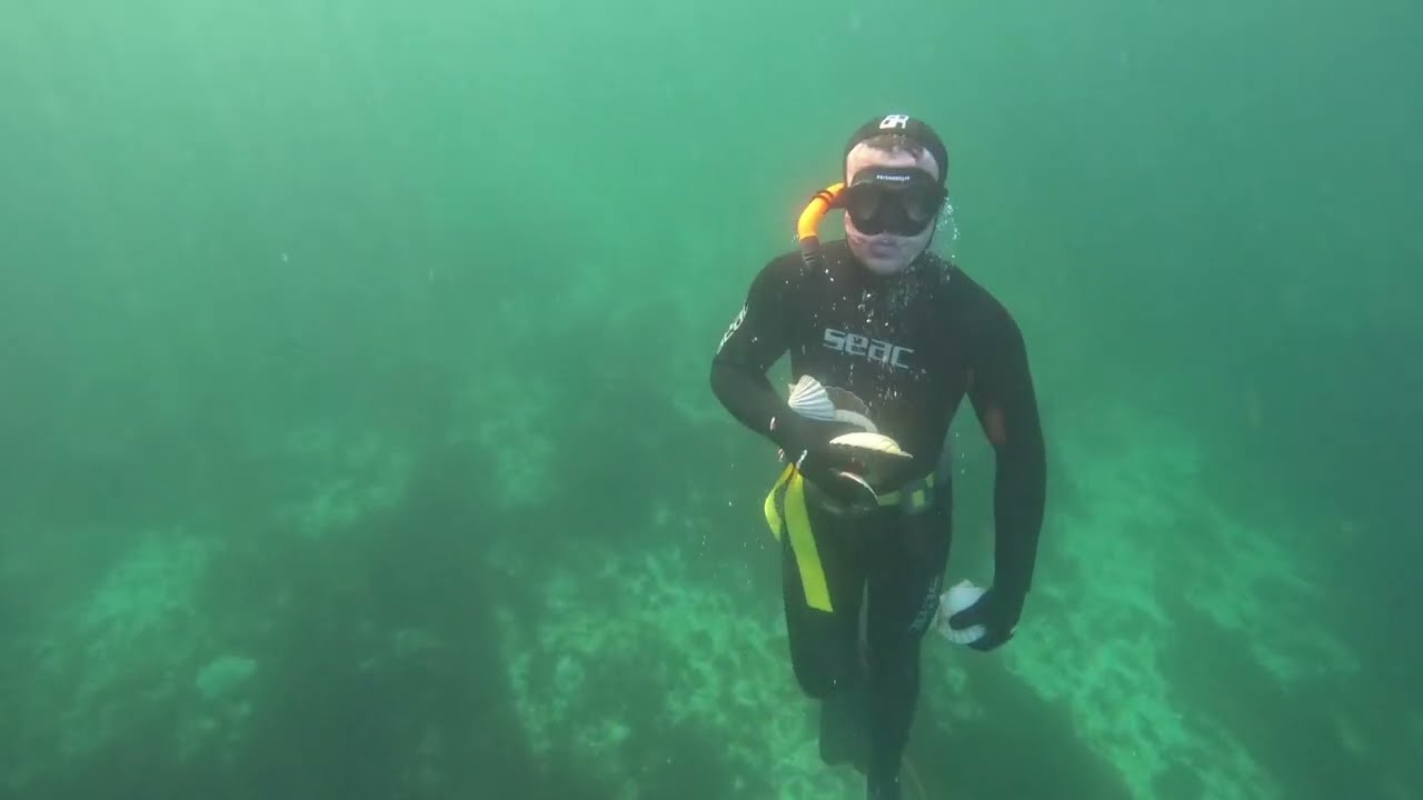 Scallop hunting in Mausund, Norway