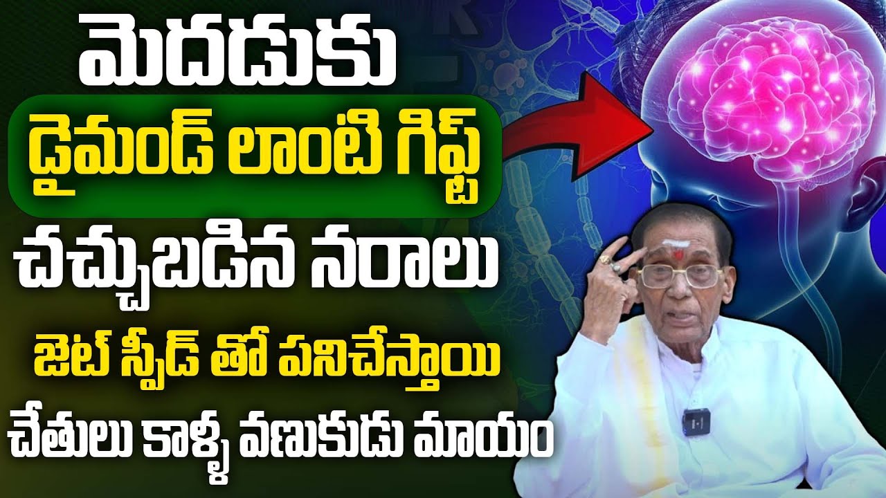 ఈ గింజలు తింటే చచ్చుబడిన నరాలు చురుగ్గా పనిచేస్తాయి.. | BA.Venkata Swamy | Increase Nerves Weakness