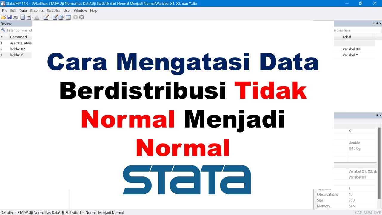 ⚠️ STATA: MENGATASI DATA BERDISTRIBUSI TIDAK NORMAL MENJADI NORMAL