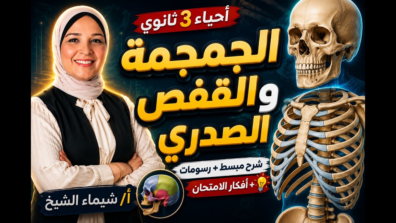 الجمجمة والقفص الصدري| احياء الصف الثالث الثانوي| أ\شيماء الشيخ