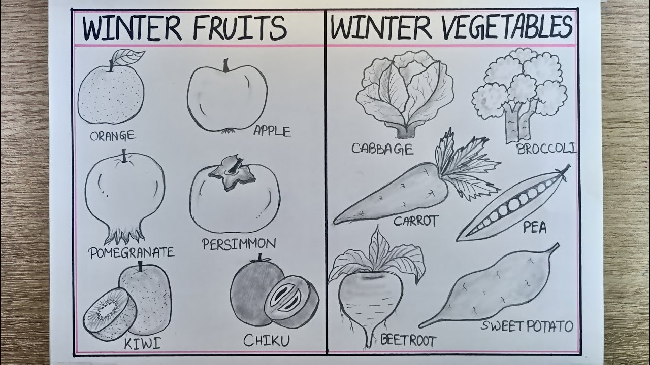Winter season Fruits and vegetable drawing | Winter Vegetables drawing | Winter fruits drawing 
