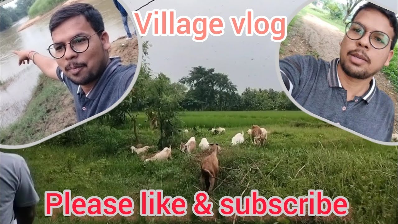 Nadi kinare aaj ghumne gaye || village vlog || Family vlog #nehamitvloger #familyvlog
