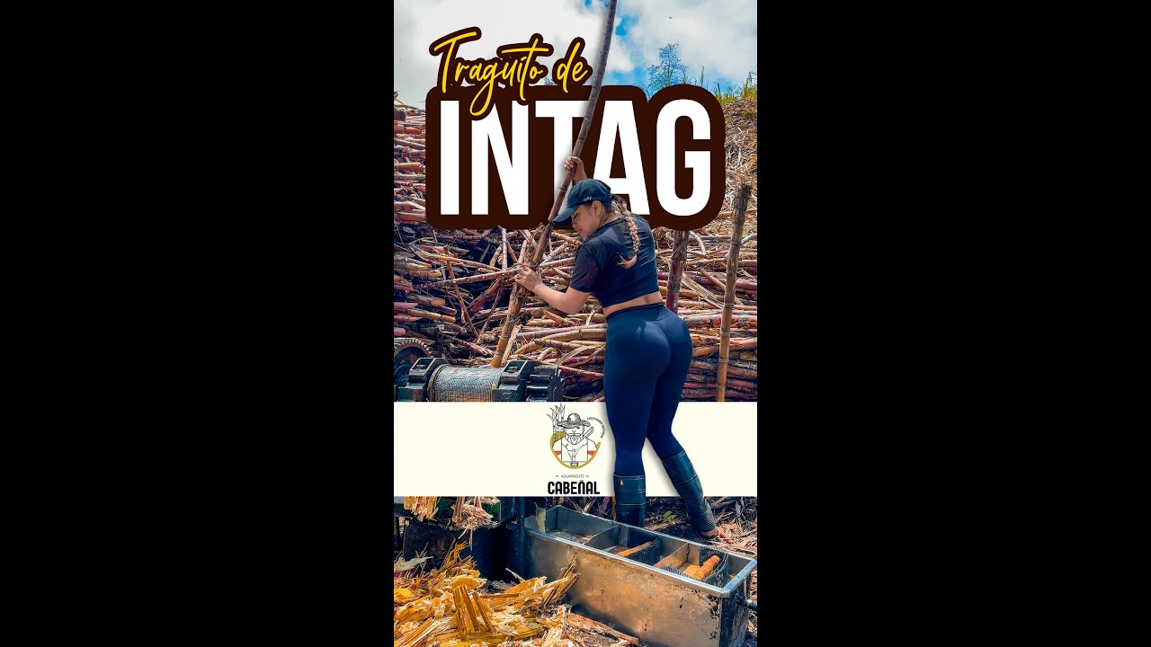 Así se hace el licor de caña artesanal más puro del Ecuador en Intag