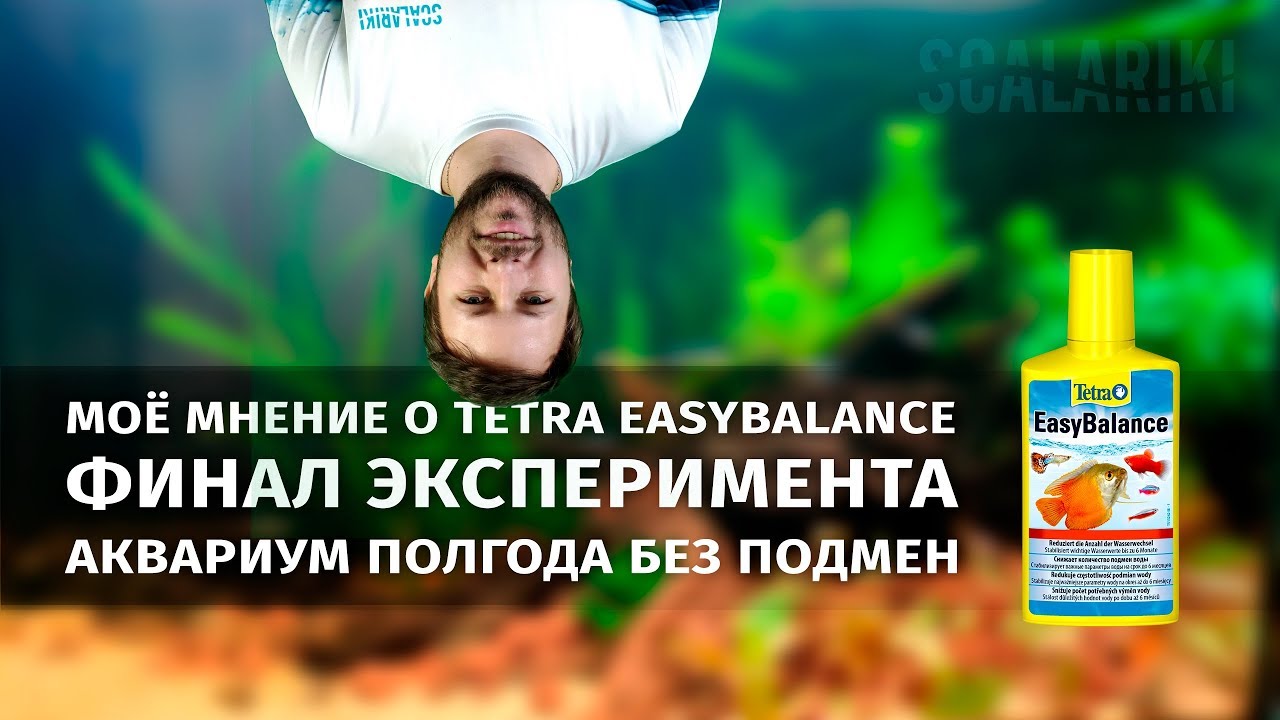Аквариум полгода без подмен с Tetra EasyBalance. Финал