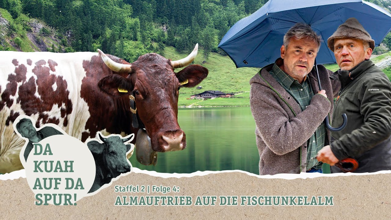 Da Kuah auf da Spur: Staffel 2, Folge 4 | Almauftrieb auf die Fischunkelalm